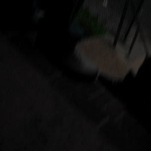 Meet your Posher, Tanaya